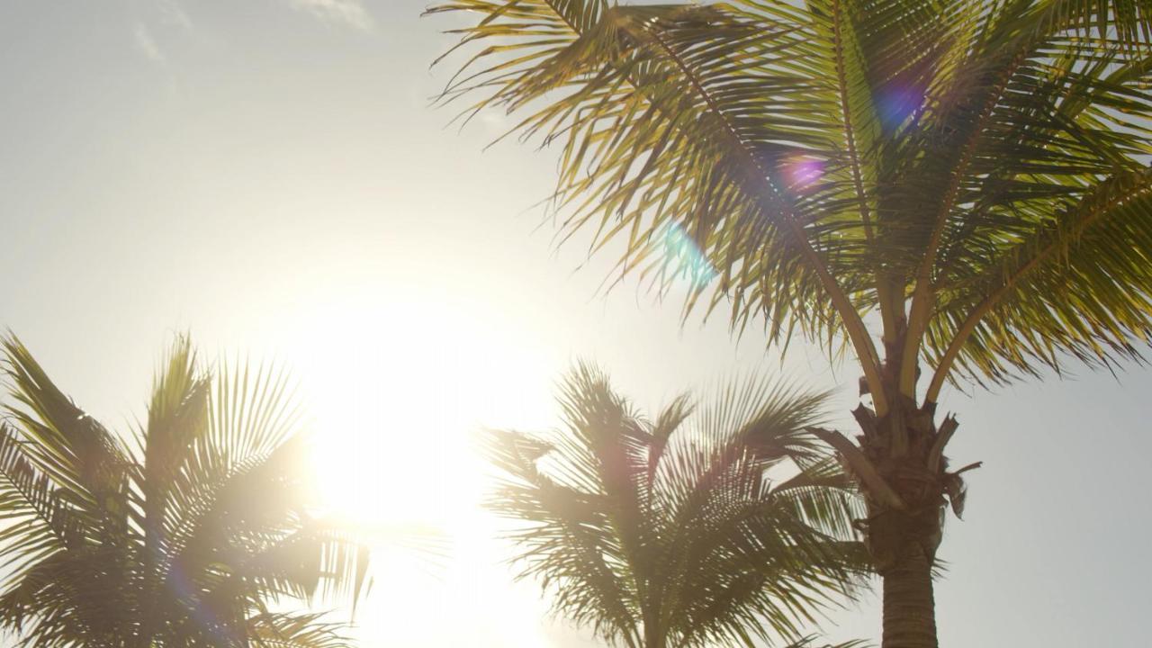 Secrets Riviera Cancun Resort & Spa (Adults Only) Puerto Morelos Dış mekan fotoğraf